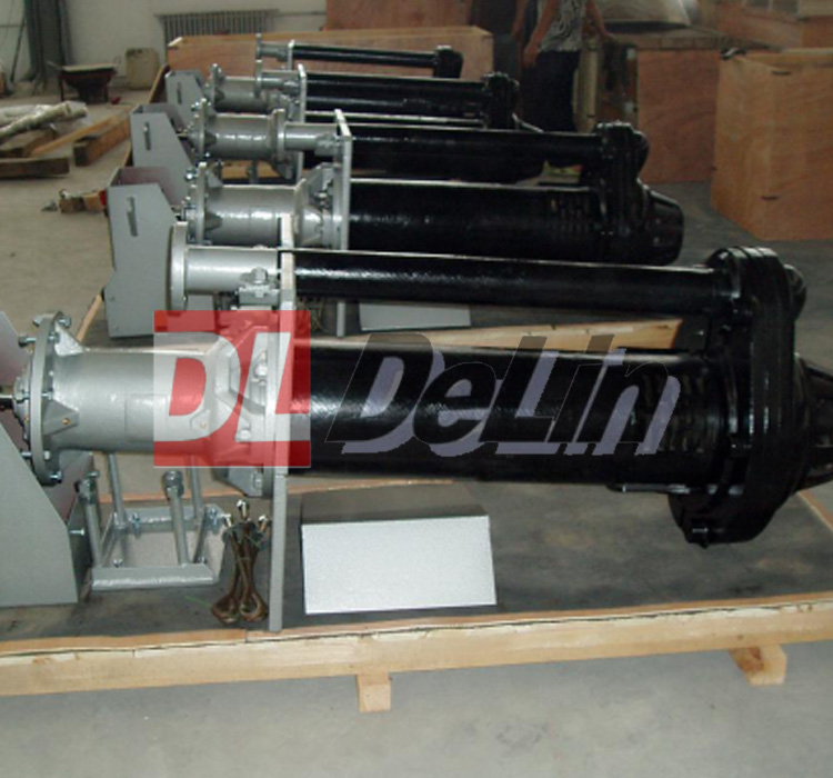 DV(R) Series Sump Slurry Pump